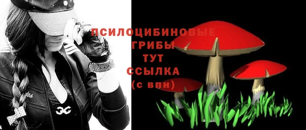 экстази Покачи