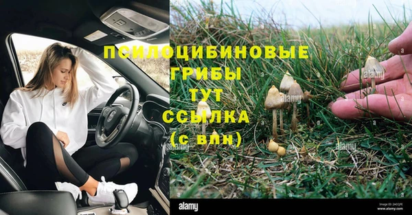 mdma Пролетарск