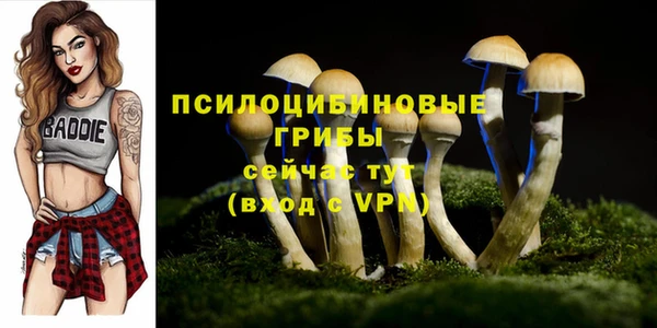 стаф Алексин