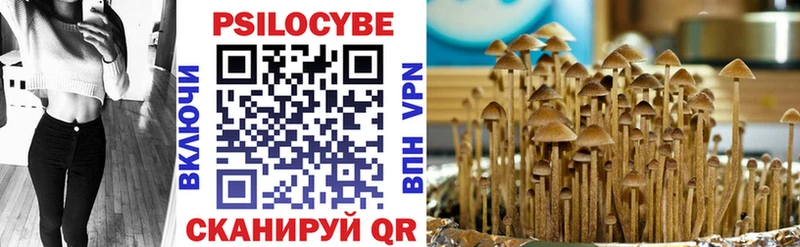 продажа наркотиков  Краснознаменск  Псилоцибиновые грибы мицелий 